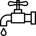Federal Government Icon